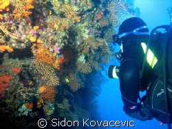 island solta 40 deep on the wall by Sidon Kovacevic 